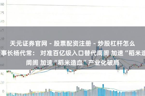 天元证券官网 - 股票配资注册 - 炒股杠杆怎么开户 禾元生物董事长杨代常： 对准百亿级入口替代阛阓 加速“稻米造血”产业化破局