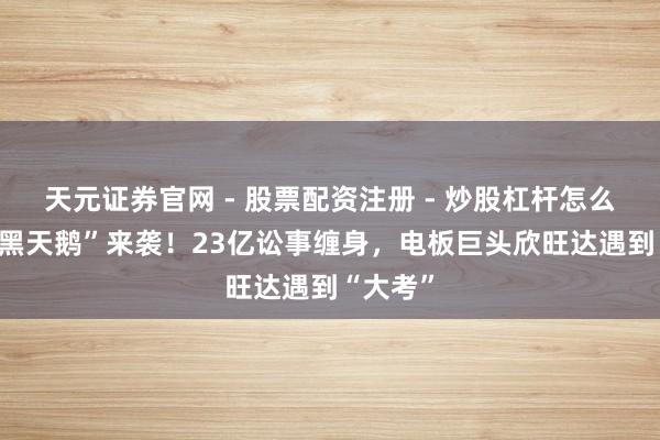 天元证券官网 - 股票配资注册 - 炒股杠杆怎么开户 “黑天鹅”来袭！23亿讼事缠身，电板巨头欣旺达遇到“大考”