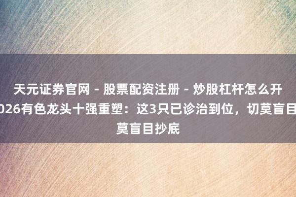天元证券官网 - 股票配资注册 - 炒股杠杆怎么开户 2026有色龙头十强重塑：这3只已诊治到位，切莫盲目抄底