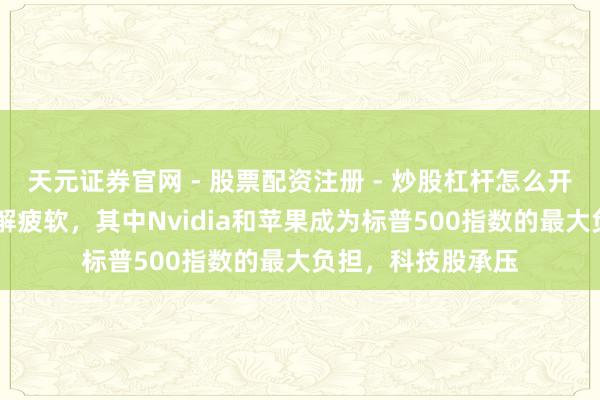 天元证券官网 - 股票配资注册 - 炒股杠杆怎么开户 大型科技股理解疲软，其中Nvidia和苹果成为标普500指数的最大负担，科技股承压