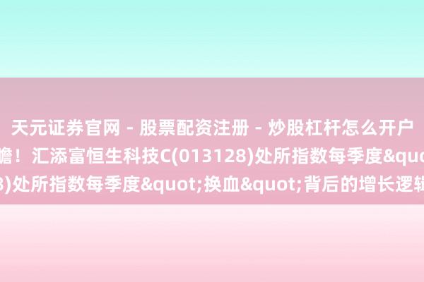 天元证券官网 - 股票配资注册 - 炒股杠杆怎么开户 动态优化交流产业前瞻！汇添富恒生科技C(013128)处所指数每季度"换血"背后的增长逻辑