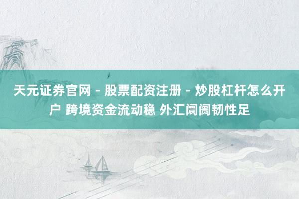 天元证券官网 - 股票配资注册 - 炒股杠杆怎么开户 跨境资金流动稳 外汇阛阓韧性足