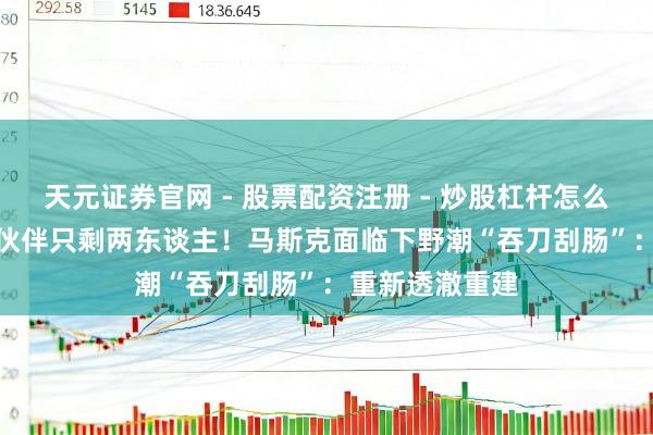 天元证券官网 - 股票配资注册 - 炒股杠杆怎么开户 xAI独创伙伴只剩两东谈主！马斯克面临下野潮“吞刀刮肠”：重新透澈重建