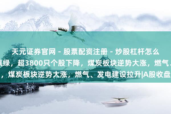 天元证券官网 - 股票配资注册 - 炒股杠杆怎么开户 A股主要指数全线飘绿，超3800只个股下降，煤炭板块逆势大涨，燃气、发电建设拉升|A股收盘