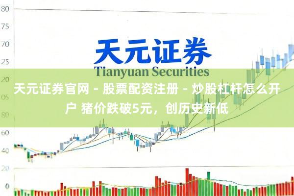天元证券官网 - 股票配资注册 - 炒股杠杆怎么开户 猪价跌破5元，创历史新低