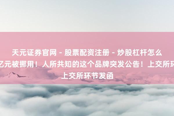 天元证券官网 - 股票配资注册 - 炒股杠杆怎么开户 1亿元被挪用！人所共知的这个品牌突发公告！上交所环节发函
