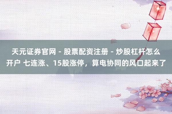 天元证券官网 - 股票配资注册 - 炒股杠杆怎么开户 七连涨、15股涨停，算电协同的风口起来了