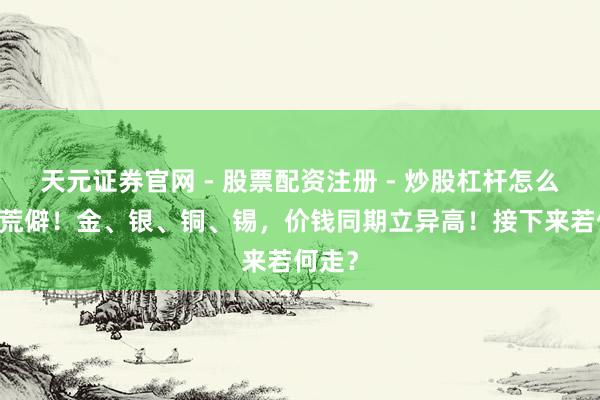天元证券官网 - 股票配资注册 - 炒股杠杆怎么开户 荒僻！金、银、铜、锡，价钱同期立异高！接下来若何走？