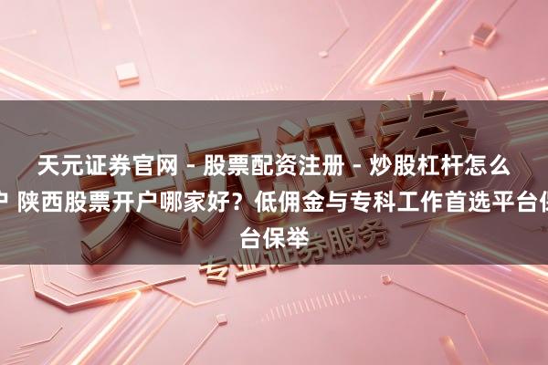 天元证券官网 - 股票配资注册 - 炒股杠杆怎么开户 陕西股票开户哪家好？低佣金与专科工作首选平台保举